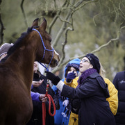 Healing Hearts
http://www.arabhorsefarmtour.com/givingback/