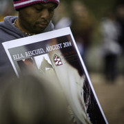 Healing Hearts
http://www.arabhorsefarmtour.com/givingback/