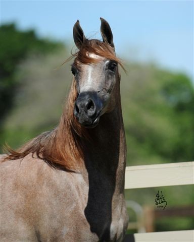 Annjolina - Photo credit: Stuart Vesty