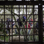 Stonewall Farm and Terry Holmes