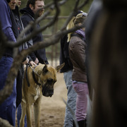 Stonewall Farm and Terry Holmes