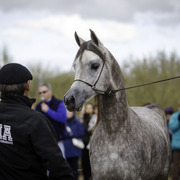 Stonewall Farm and Terry Holmes