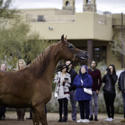 Stonewall Farm and Terry Holmes