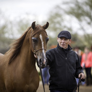 Stonewall Farm and Terry Holmes