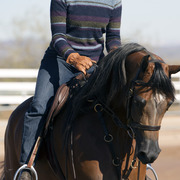Laurie Martin Show Horses