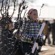 Laurie Martin Show Horses