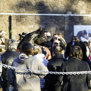 Arabians International