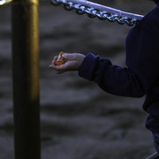 Arabians International