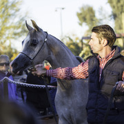 Arabians International