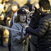 Carol Rice - Arabians International