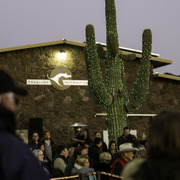 Arabians International