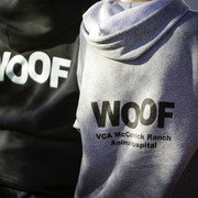 Title Sponsor Royal Arabians