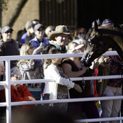 Title Sponsor Royal Arabians