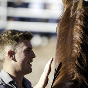 Title Sponsor Royal Arabians
