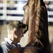 Title Sponsor Royal Arabians