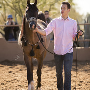 McDonald Arabians 
Photo by Lysa Roman