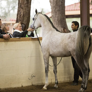 Sandspur Ranch
Photo by Lysa Roman