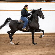 Sandspur Ranch
Photo by Lysa Roman