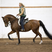 Sandspur Ranch
Photo by Lysa Roman