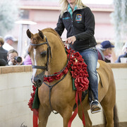 Sandspur Ranch
Photo by Lysa Roman