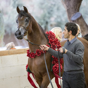 Sandspur Ranch
Photo by Lysa Roman