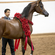 Sandspur Ranch
Photo by Lysa Roman