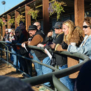Arabian Expressions
Photo by David Halsch