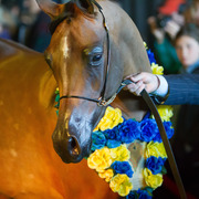 Rodrigues Training Center