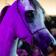 Rodrigues Training Center