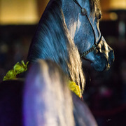 Rodrigues Training Center