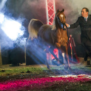 Rodrigues Training Center