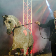 Rodrigues Training Center