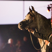 Rodrigues Training Center