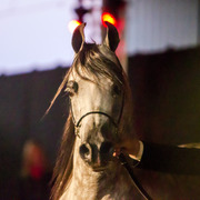 Rodrigues Training Center