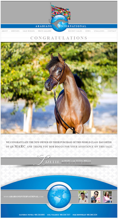 Arabians International Congratulate the new owners of QR Lizette 