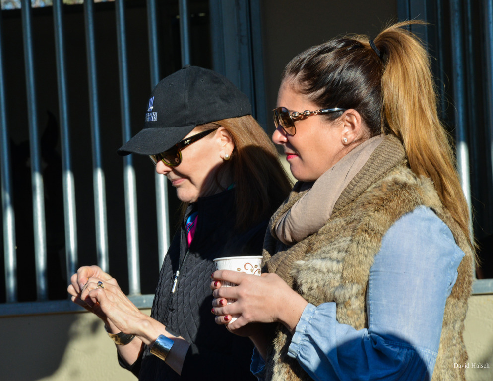 Photo by David Halsch