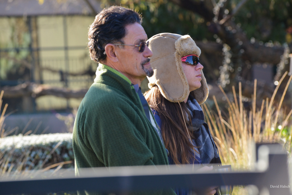 Photo by David Halsch