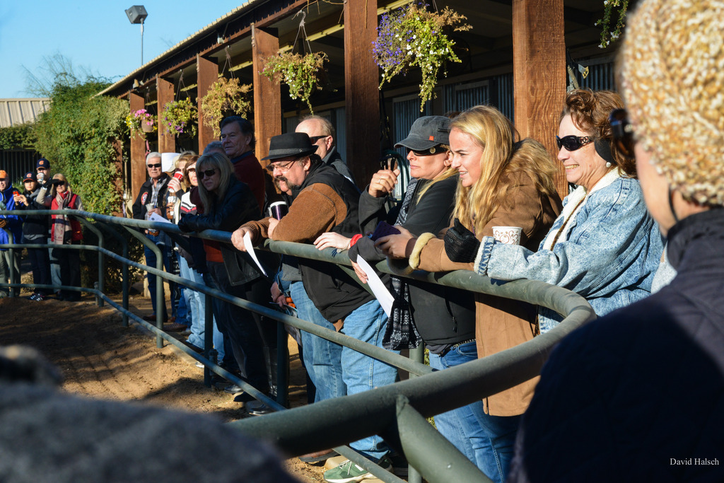 Photo by David Halsch