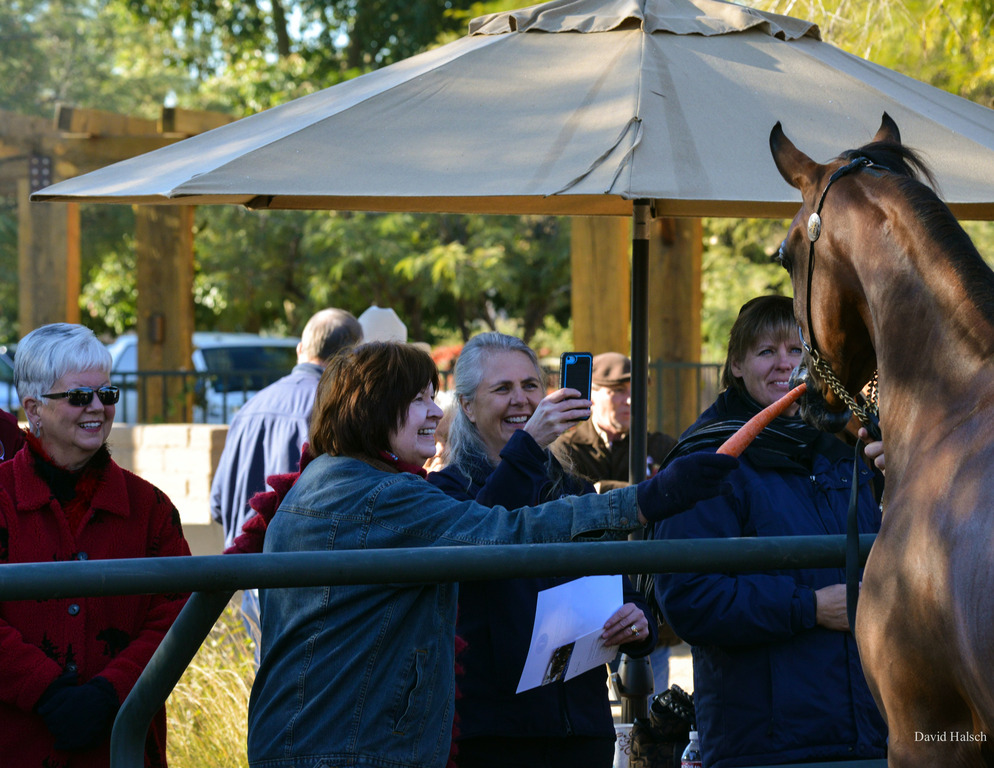 Photo by David Halsch