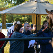 Photo by David Halsch