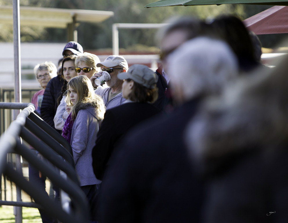 Photo by David Halsch