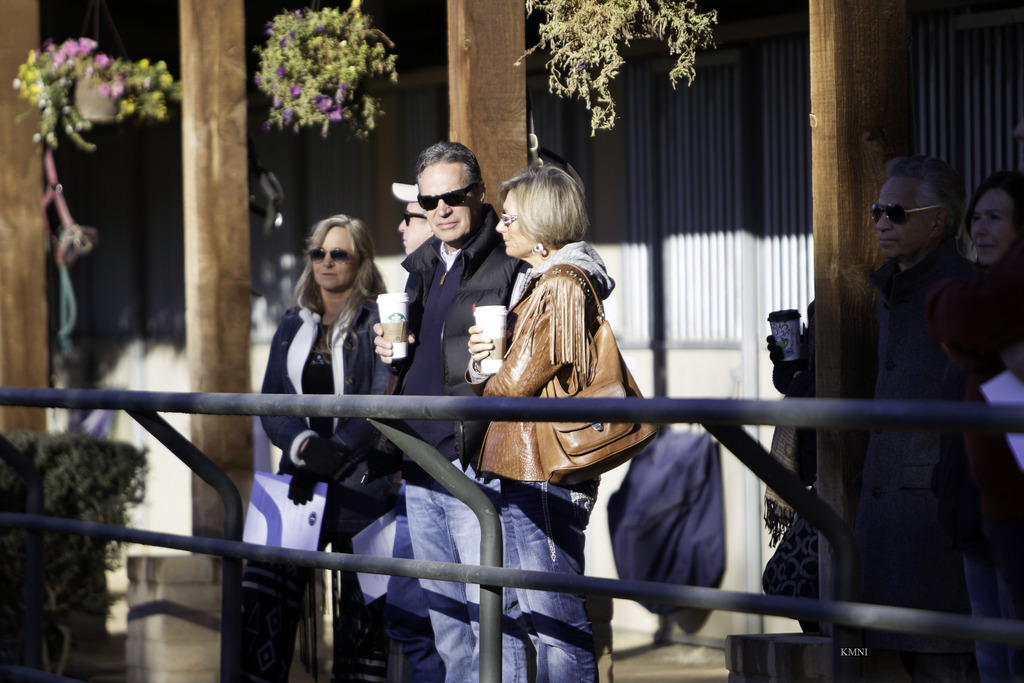 Arabian Expressions - 8th Annual Farm Tour 