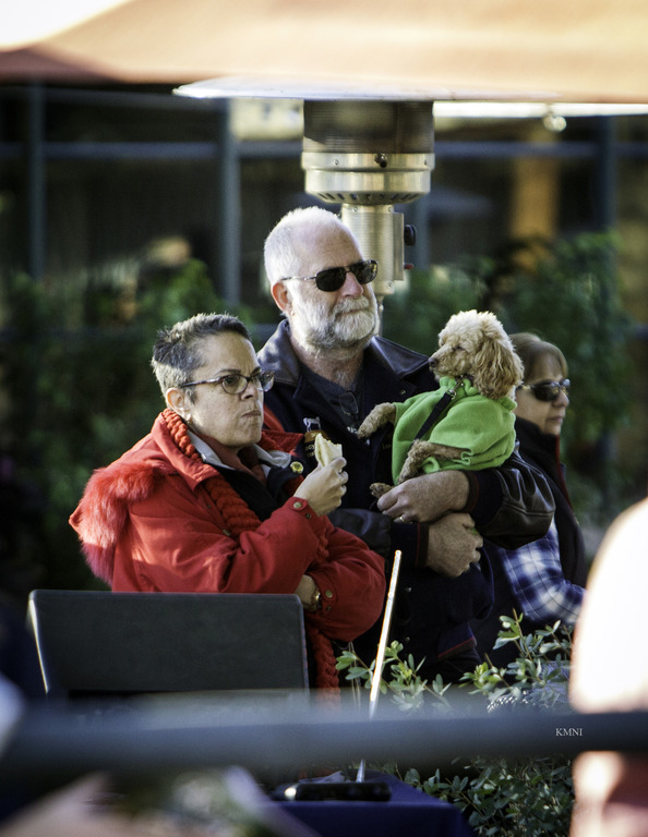 Arabian Expressions - 8th Annual Farm Tour 