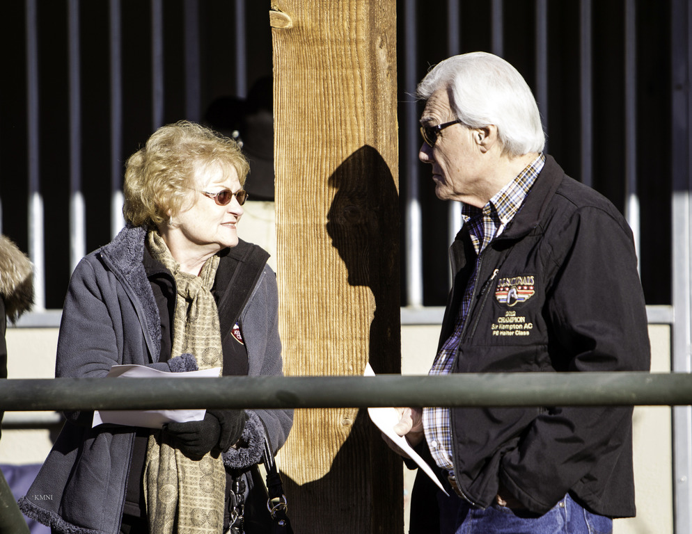 Arabian Expressions - 8th Annual Farm Tour 