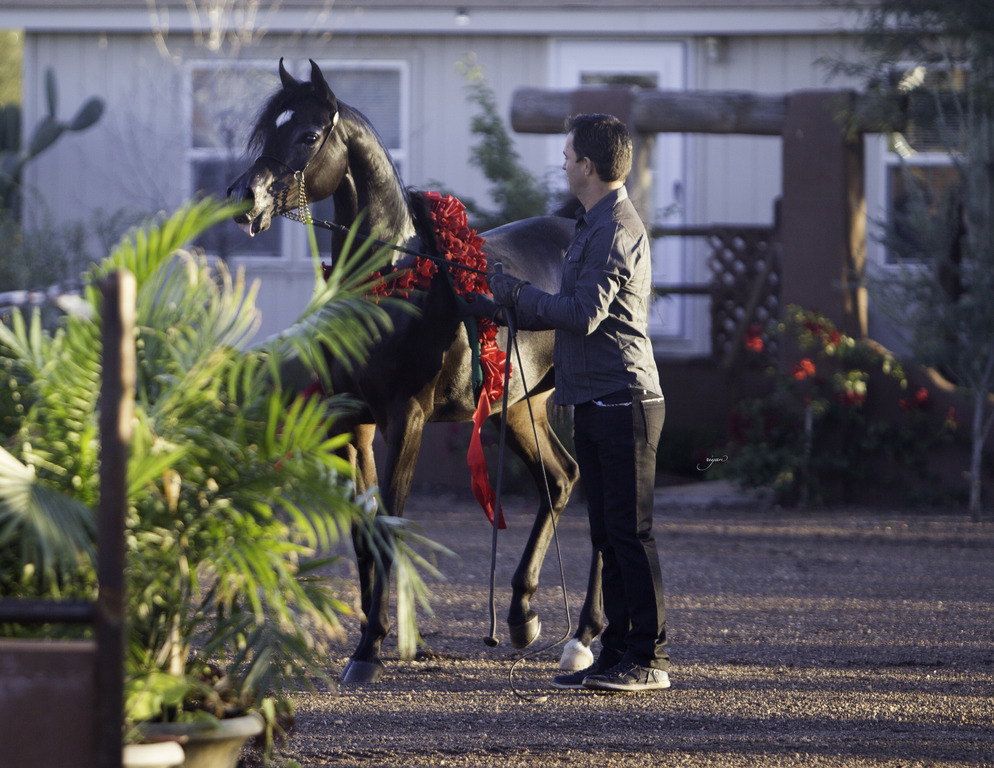 Arabian International - 8th Annual Farm Tour 
