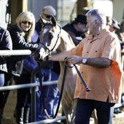 Arabian Expressions - 8th Annual Farm Tour 