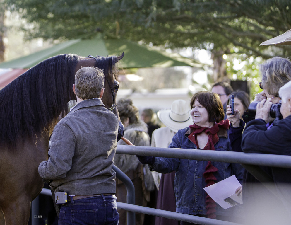 Arabian Expressions - 8th Annual Farm Tour 