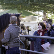 Arabian Expressions - 8th Annual Farm Tour 