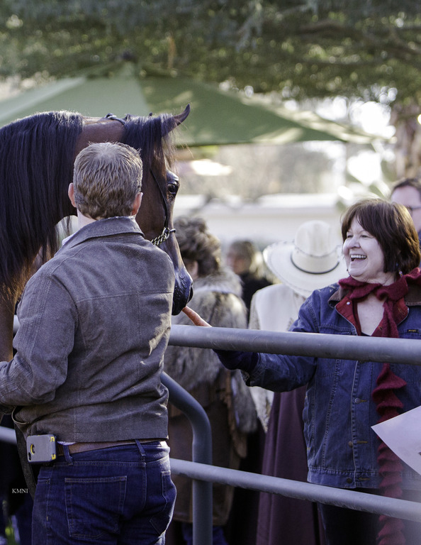 Arabian Expressions - 8th Annual Farm Tour 