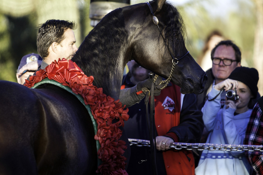 Arabian International - 8th Annual Farm Tour 